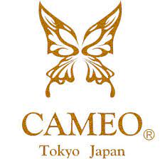 Cameo Japan Dartcases & Taschen – Exklusives Design und Qualität