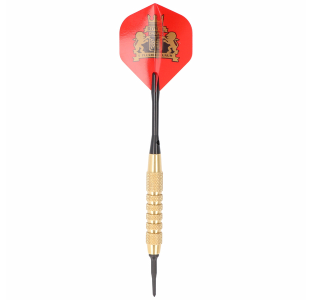 Royal Darts Plain Brass Lion, Starter Case, Softdart, 18 Gramm, 5 image