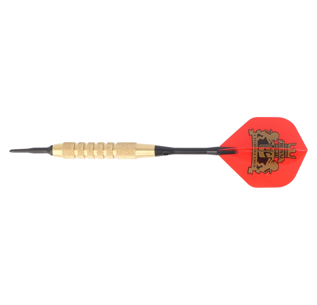 Royal Darts Plain Brass Lion, Starter Case, Softdart, 18 Gramm, 4 image