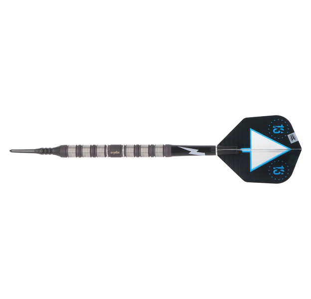 Softtip Phil Taylor the Power Series 80% Silver, 18 Gramm, 4 image