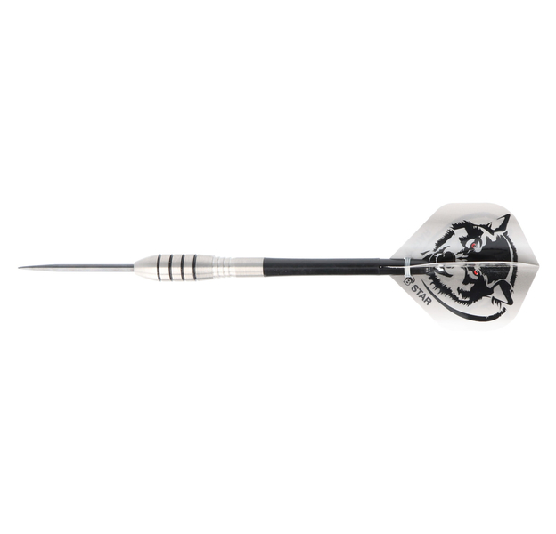 Steeldart Barrels silber, Tropfenform, 85% Tungsten, 21 Gramm, 10 image